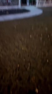 482 reactions · 14 shares | Say Goodbye to Hanging Christmas Lights! Ditch the hassle and danger of hanging lights every year! Our permanent, color-changing eave lights by JellyFish are a game-changer! Get ready for a stress-free holiday season. Learn more now! | JellyFish Lighting | Facebook