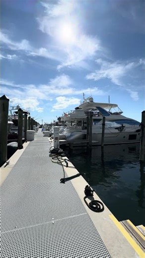 Yacht day in Miami #shorts #miamiluxuryrealestate #coconutgrove #yachtlife