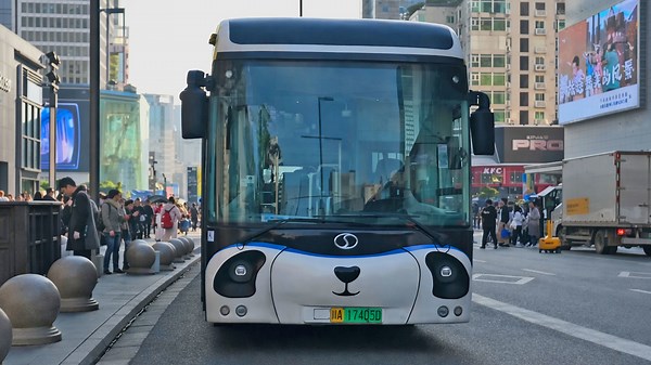 Panda bus appears on the streets of China