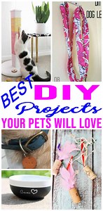 DIY Pet Projects - AWESOME Ideas - Easy - Simple Crafts & Fun Tutorials - How To Make Dogs - Cats - Kitty - Puppy DIYs | Kimspired DIY