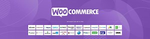 Woocommerce POS Integration | Supports 35  POS Systems