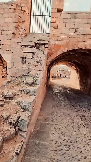 Señores, la vida hay que vivirla, no mendigarla. Sígueme para más 😎 | Que lo sepa el mundo