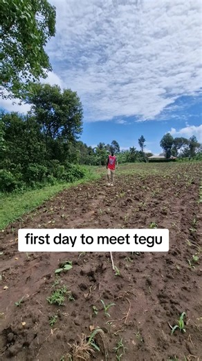 Meet My Dog: The First Day with Tegu and Family