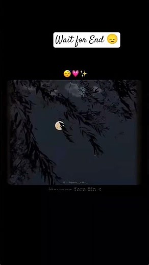 Hai hai mai mar java tere bin sad lofi song #sadsongs ||WhatsApp Status||