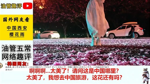 外网热评：国外网友被中国西安樱花雨震撼到了！印度网友：绝美的风景！中国人是那么的快乐幸福！