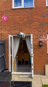 Playful video of child with Minion balloon | Family World