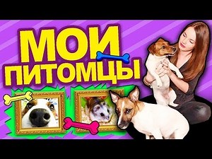 ♥ МОИ ПИТОМЦЫ ♥ Собачки, Пони, Хомячки и Я :D