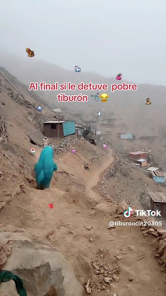 Tiburón loco en acción: ¡no lo detendrá nada! 😂