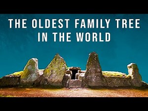 This is the Oldest Family Tree in the World (From the Tombs of Neolithic Britain)