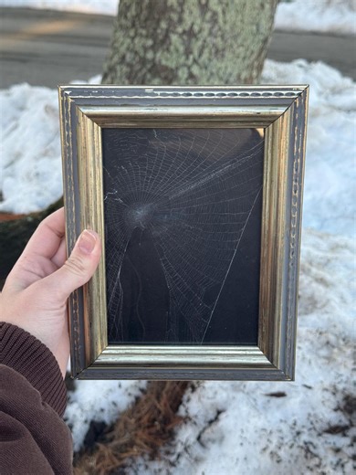 Framed Preserved Spiderweb: Antique Silver Vintage Decor - Etsy