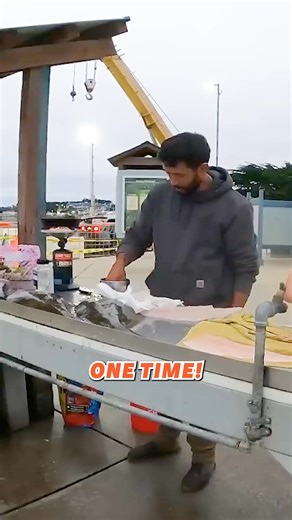 69K views · 905 reactions | Halibut is my new favorite fish!  #Fishing #catchandcook #halibut #fish #record #outdoor #adventure | Fisherman's Life | Facebook