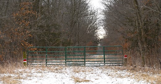 Discover the Famous Mansion Left to Decay in an Iowa Field