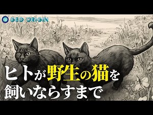 Until our ancestors and cats became friends