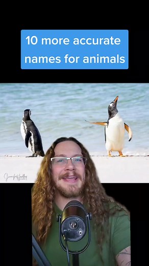 10 Hilarious Alternative Animal Names