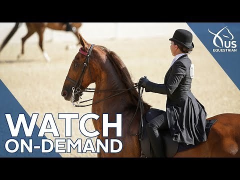 Saddle Seat World Cup Highlights