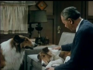 Lassie - Episode #397 - "The Waif" - Season 12, Ep. 12 - 11/28/1965