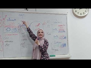 Female pathology, Cervix, Updated 2023/24