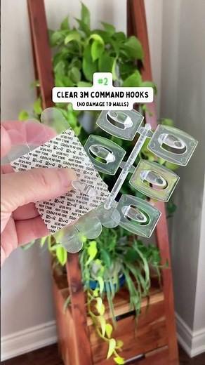 2 Ways to Hang Plant Vines Indoors 🪴 #plants #garden #tips #shorts