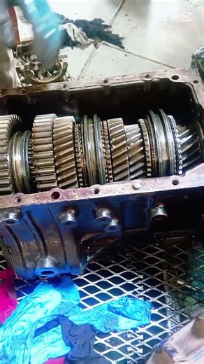 How to identify gears on gearbox easily.