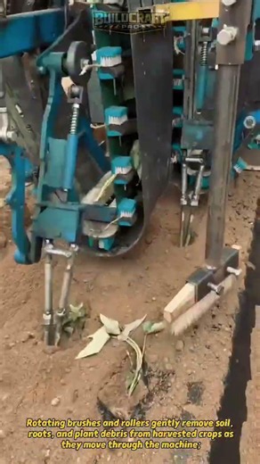 Smart Crop Cleaning Machine Removes Dirt Fast! #FarmingTech #AgriInnovation #Harvest