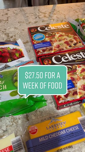 $25 Budget to Buy a Week of Groceries at Dollar Tree #dollartreedinners #dollartreefood #foodbudget #savingmoney #extremegrocerybudgetchallenge #dollartreehaul #dollartreegroceryhaul #groceryhaul