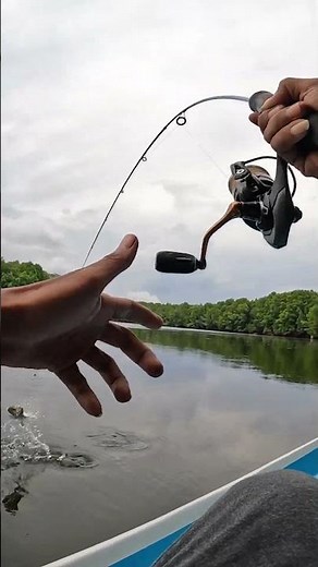 memancing ikan kuwe tak pakai lama