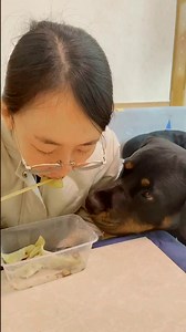 🐶 Humph! If you don’t give it to me, I will spit on you and not let you eat it! 😂😅 #dog #yituo #dogfunny | Dog Yi Tuo