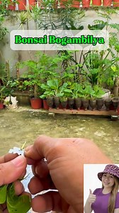 2.1M views · 25K reactions | Sa mahihilig sa Bonsai ganito lang po ang gawin ninyo #CreditToTheOwner #fblifestyles #followformore #millionviews #thankfulgratefulblessed | Cynthia Ballaran | Facebook