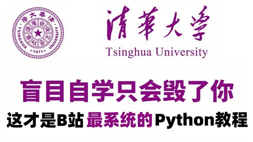【整整600集】清华大学196小时讲完的Python教程（数据分析）零基础入门到精通全套教程，全程干货无废话！这还学不会，我退出IT圈！数据挖掘/可视化/大数据