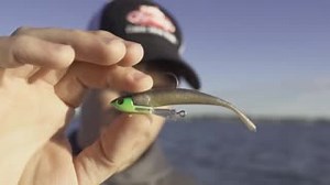 Introducing the Berkley Snapjig. With a set of fins that it make the Snapjig glide and a versatile extra eyelet the snap jig is a new way of presenting Berkley softbaits. Fish it vertically or cast and retrieve it. #berkleysnapjig #glide | Berkley Fishing