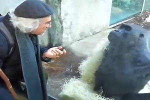 witziges Video 'Gespräch mit dem Affen' - FUNPOT