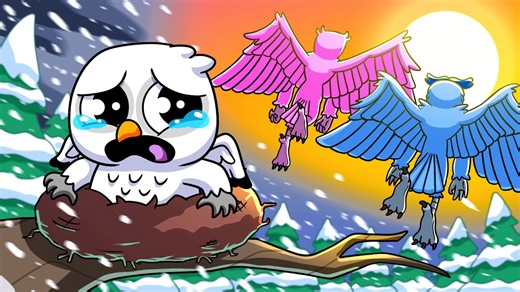 The sad story of the owl abandoned at birth