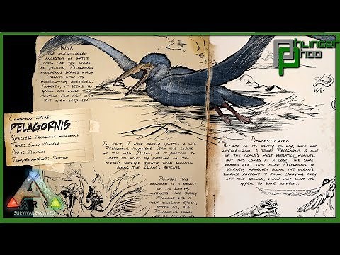 Ark Basic Pelagornis - EVERYTHING YOU NEED TO KNOW