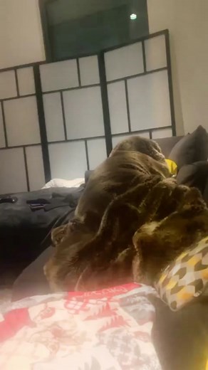 I’M A SLUG!!! 😎