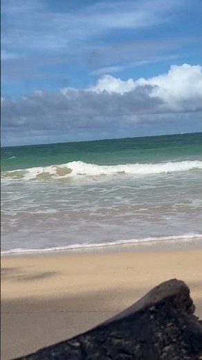 4K Hawaii Beach | Relaxing Ocean Waves Kaʻaʻawa Beach Park, Oahu 🌴 Ultra HD Nature Escape #shorts