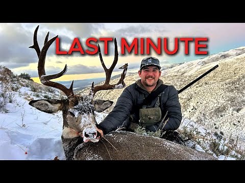 LAST MINUTE | A NEVADA MULE DEER HUNT |