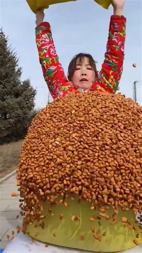 Large open‑shell pine nuts — snack, bake, savor #short #chocolate #pistachios #dryfruits #pinenuts