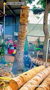 Sabariraja tree cutter service pattukkottai8072635013 | Sabariraja M