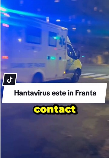 Hantavirus în Franța: primul caz confirmat și riscurile de transmitere