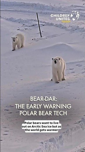 Bear-dar: The Early Warning Polar Bear Tech 🐻‍❄️
