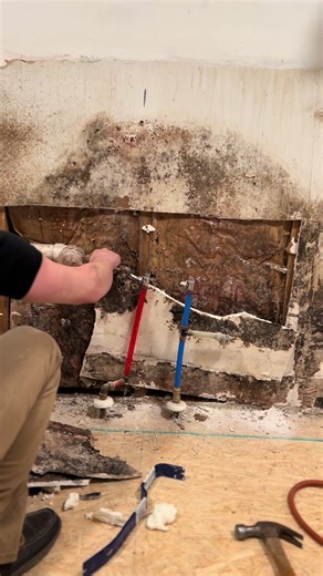 Replacing Old Moldy Drywall for a Fresh Home