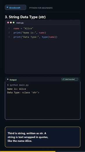Python Data Types Explained | int, float, str, bool | Learn Python from Scratch #shorts
