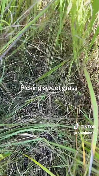 #sweetgrass keeping tradition alive