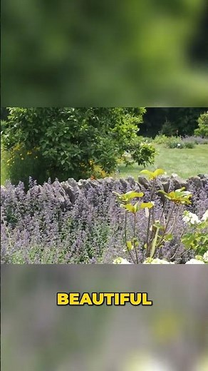 The Arboretum State Botanical Garden