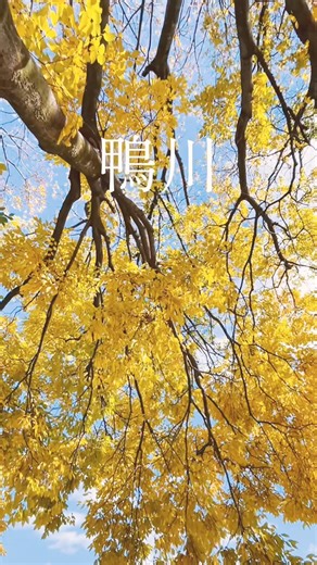 鴨川 #京都 #観光 #旅行 #大学生 #kyoto #trip