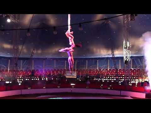 Zu Besuch im Circus Safari