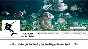 198K views · 3.6K shares | fishing giant squid in Indonesia For more videos ==> Hunter & fishing | Hunter & fishing | Facebook