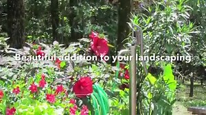 Check out our latest product: the Bison Water Stand! With the classic look of a hand pump, it functions like a hydrant. It's the perfect water feature for your landscaping! Learn more by visiting the website: https://www.bisonpumps.com/product/bison-pumps-water-stand/ | Bison Pumps