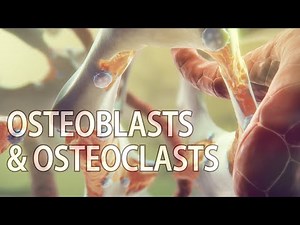 Osteoporosis animation | bone resorption | #osteoporosisanimation #boneremodeling #medicalanimation