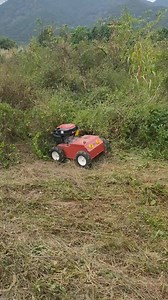 remote control weeds cutters | Zhejiang Gardentec CO,.LTD.